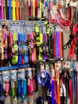 Assortment of collars and leashes