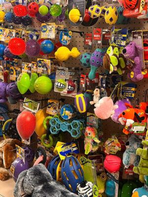 Pet toy selection