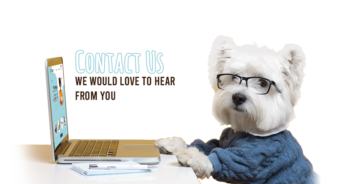 contact-us