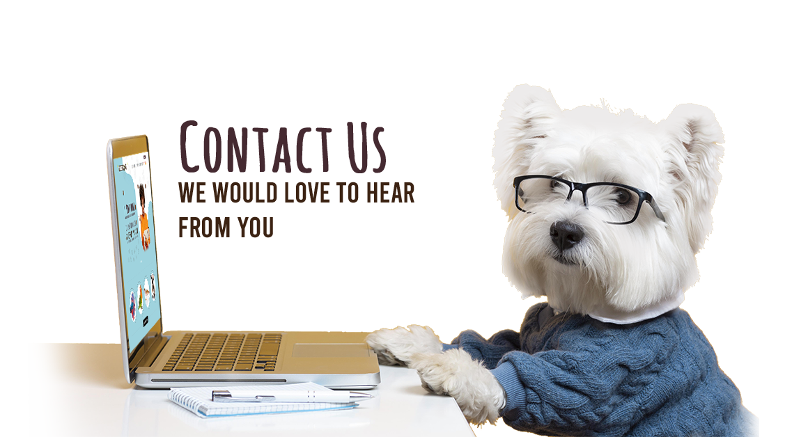 contact-us