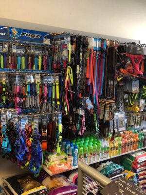 pet leashes, collars and harnesses