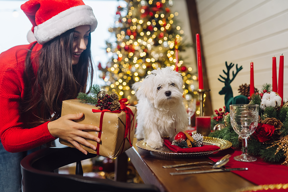 Christmas