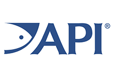 API Logo