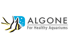 Algone logo